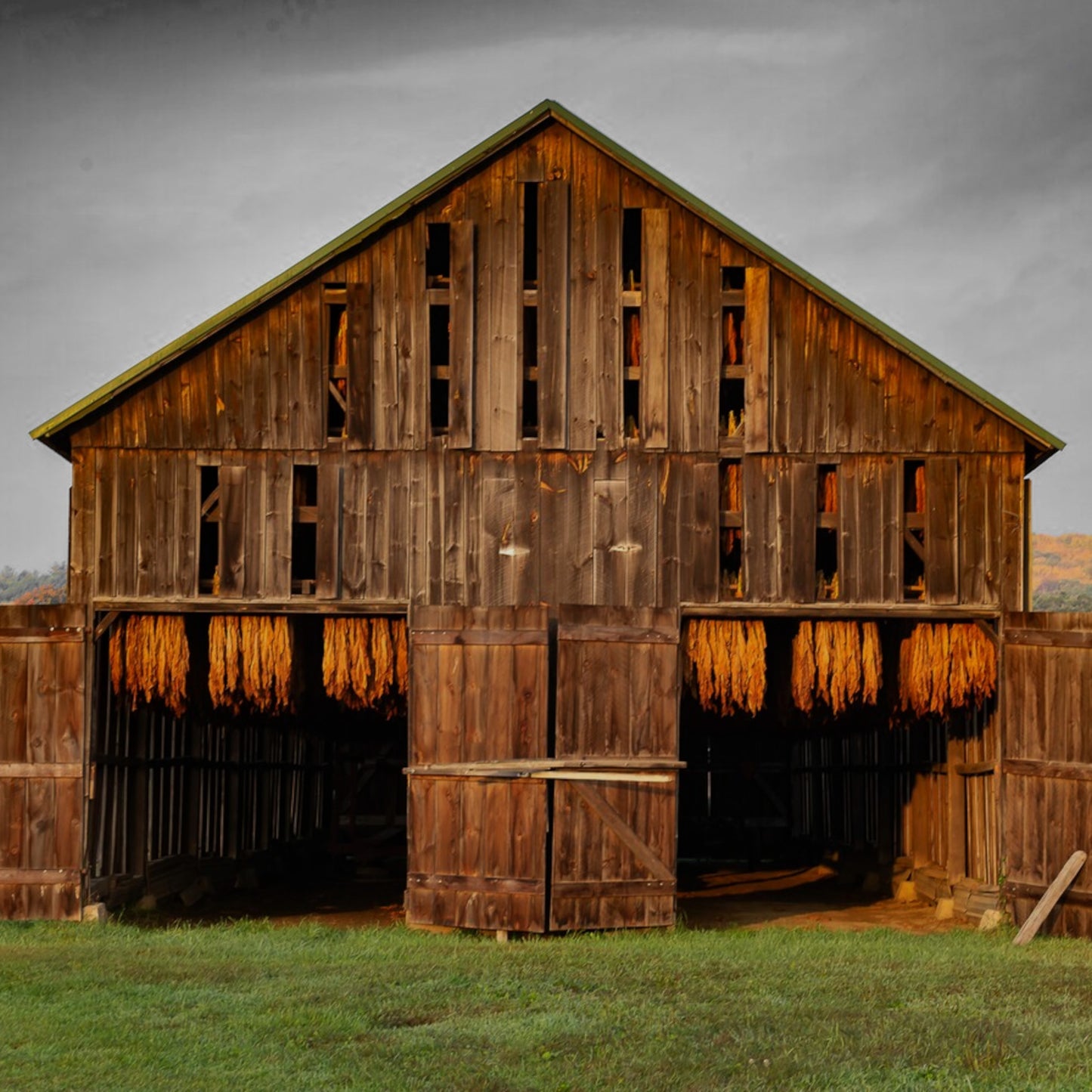 Tobacco Barn - 16oz Soy Wax, Wood Wick Candle